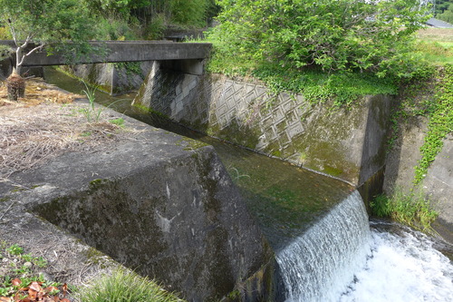 P1130658