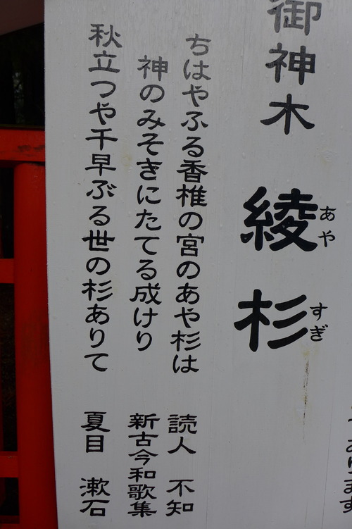 P1070331