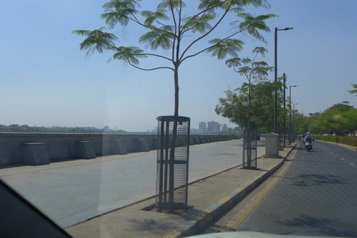 P1480185