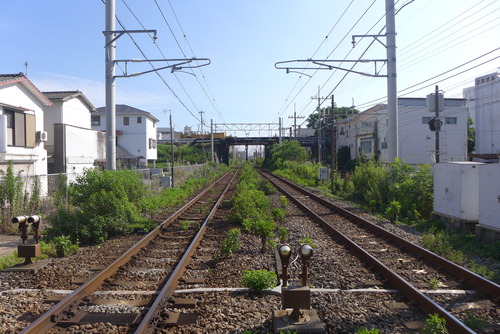 P1540844