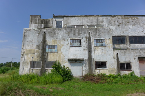 P1130196
