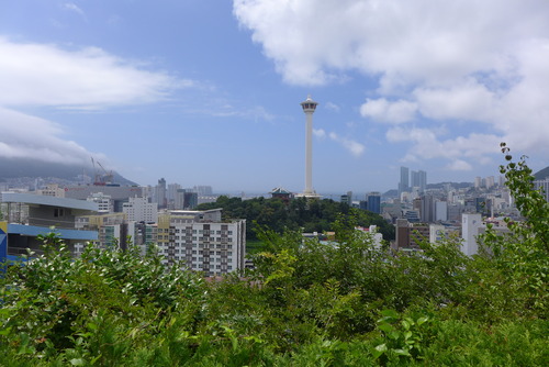 P1550465