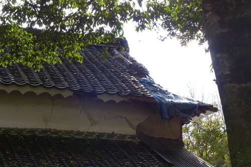 P1030151