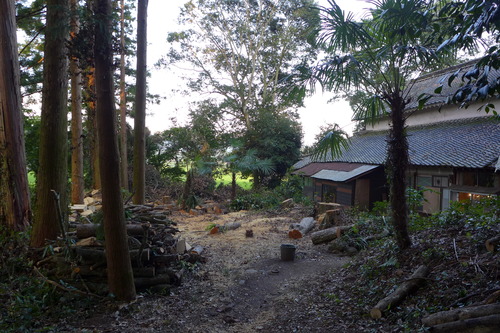 P1170142