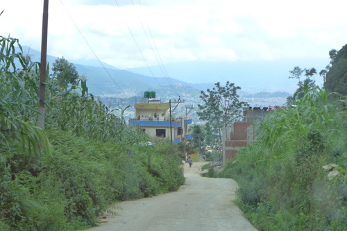 P1170526