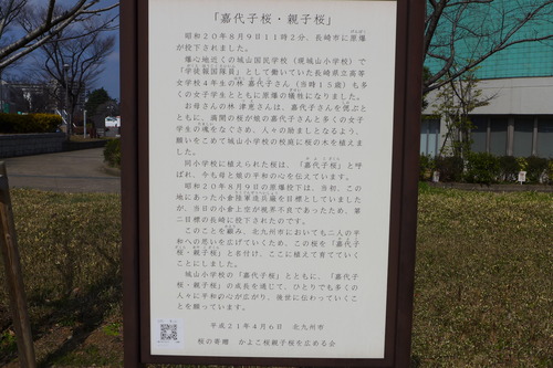 P1090191