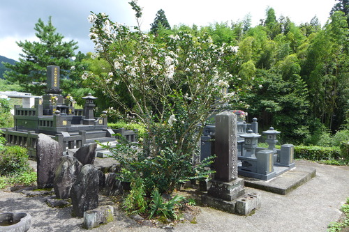 P1150113