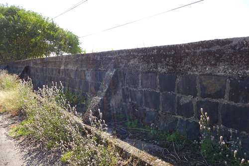 P1240299