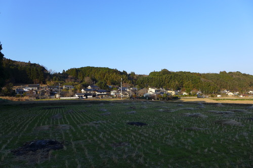 P1060246