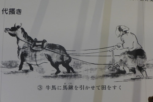 P1190472