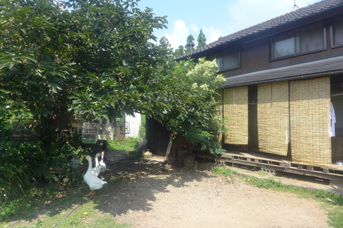 P1200397