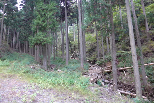 P1250929