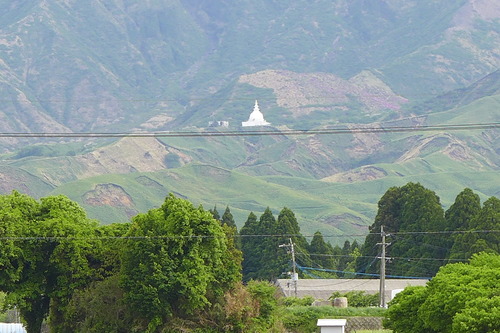 P1140953