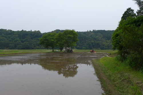 P1100888
