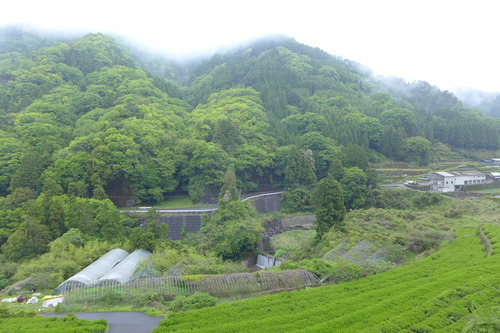 P1140277のコピー