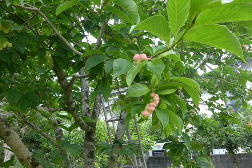 P1190763