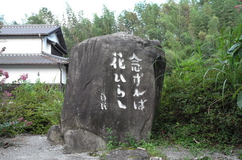 L1000349