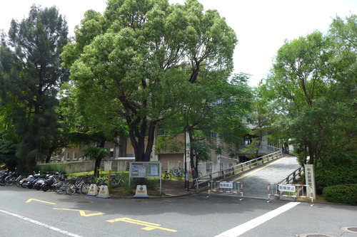 P1240694