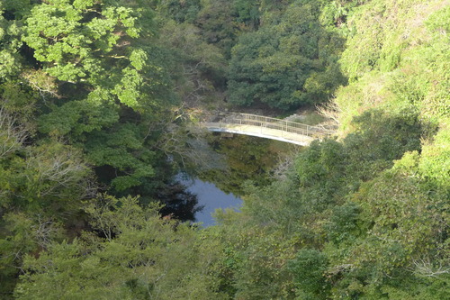 P1500039