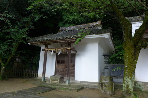 P1220392