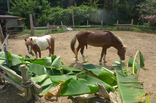 P1200425