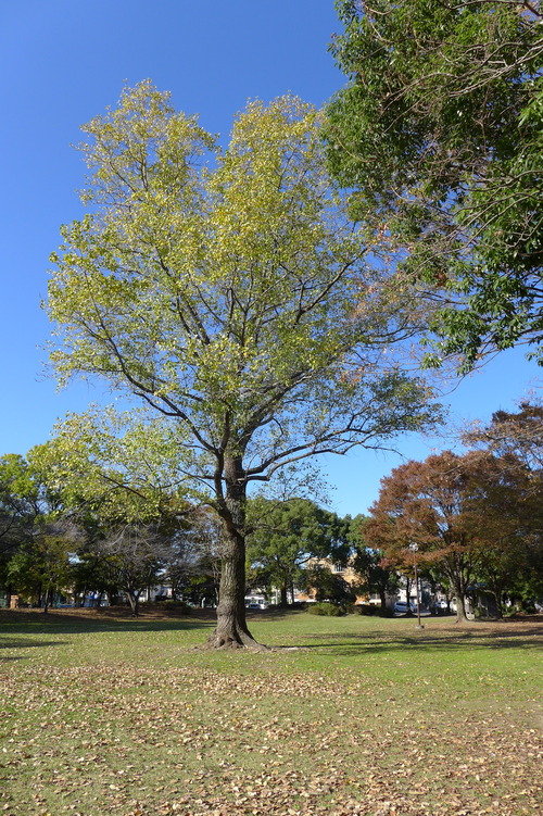 P1050138