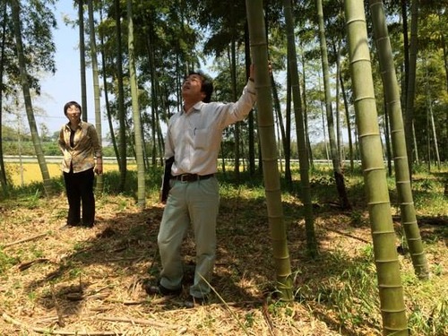 10325310_661589947250646_2137396308407768683_n