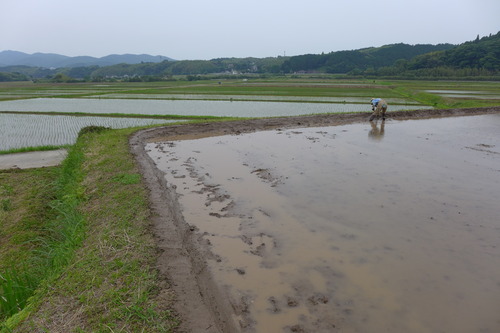 P1100905