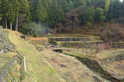 P1520563