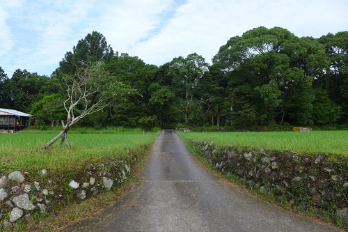 P1160099