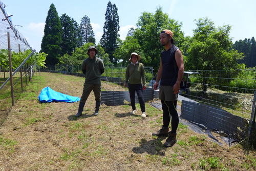 20250701竹田市直入町梶屋の耕作放棄地を豊かな岡大豆の畑に化けさせたい！竹田次世代リーダーのクワマン桑島孝彦さんと仲間たち大奮闘！！