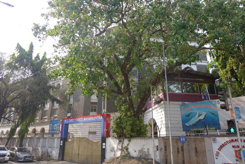 P1480938