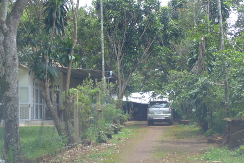 P1050669