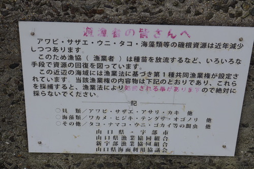 P1090808