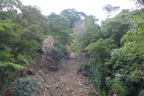 P1200323