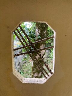 IMG_3858
