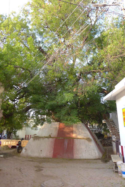 P1460512