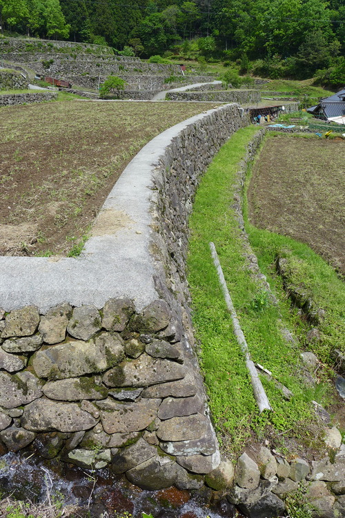 P1110240