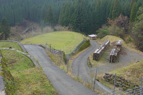 P1520544