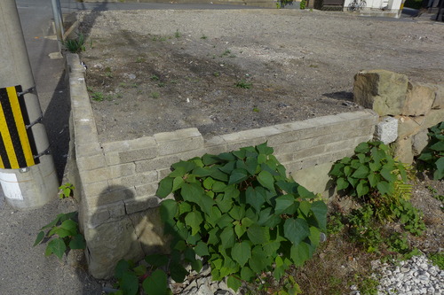 P1500320