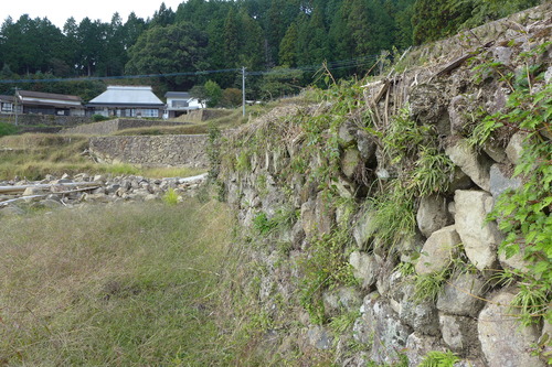 P1250849