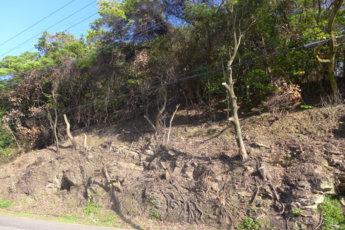 P1540201