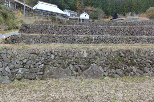P1030224のコピー