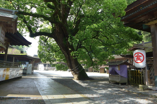 P1220381