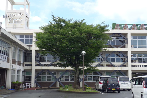 P1150738