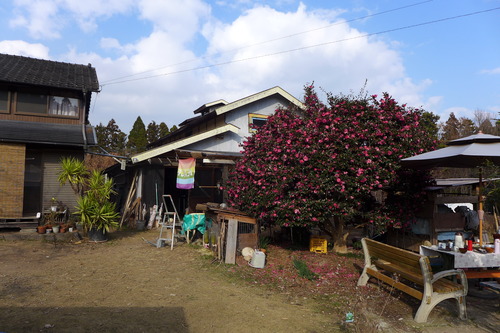 P1060602