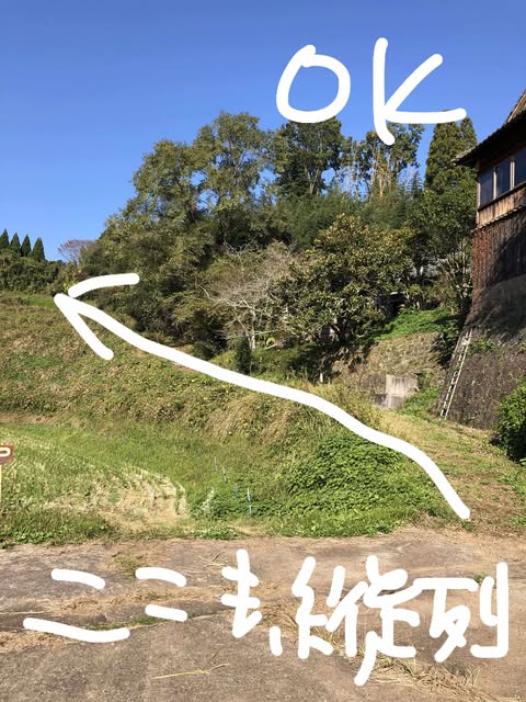 576561097_1558162135631593_209399957368441290_n