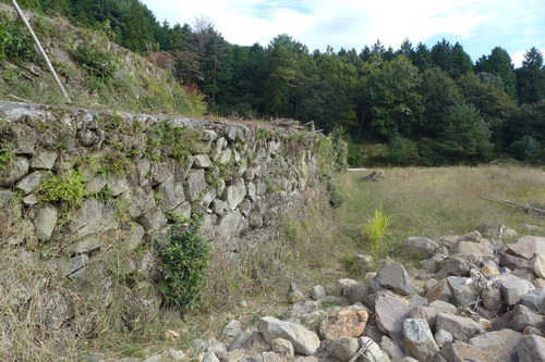 P1250859