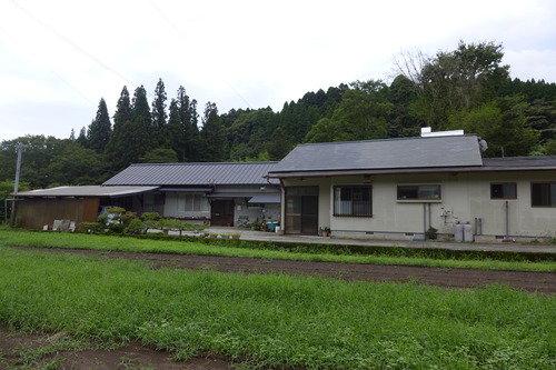P1300278