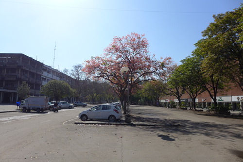 P1510222